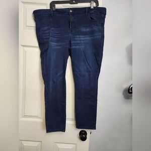 American Eagle Plus Size Jeans